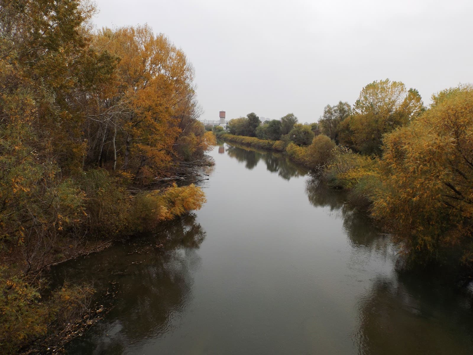 Adata Island - Image 1