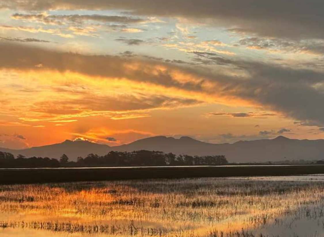 Modern Architectural Marvels