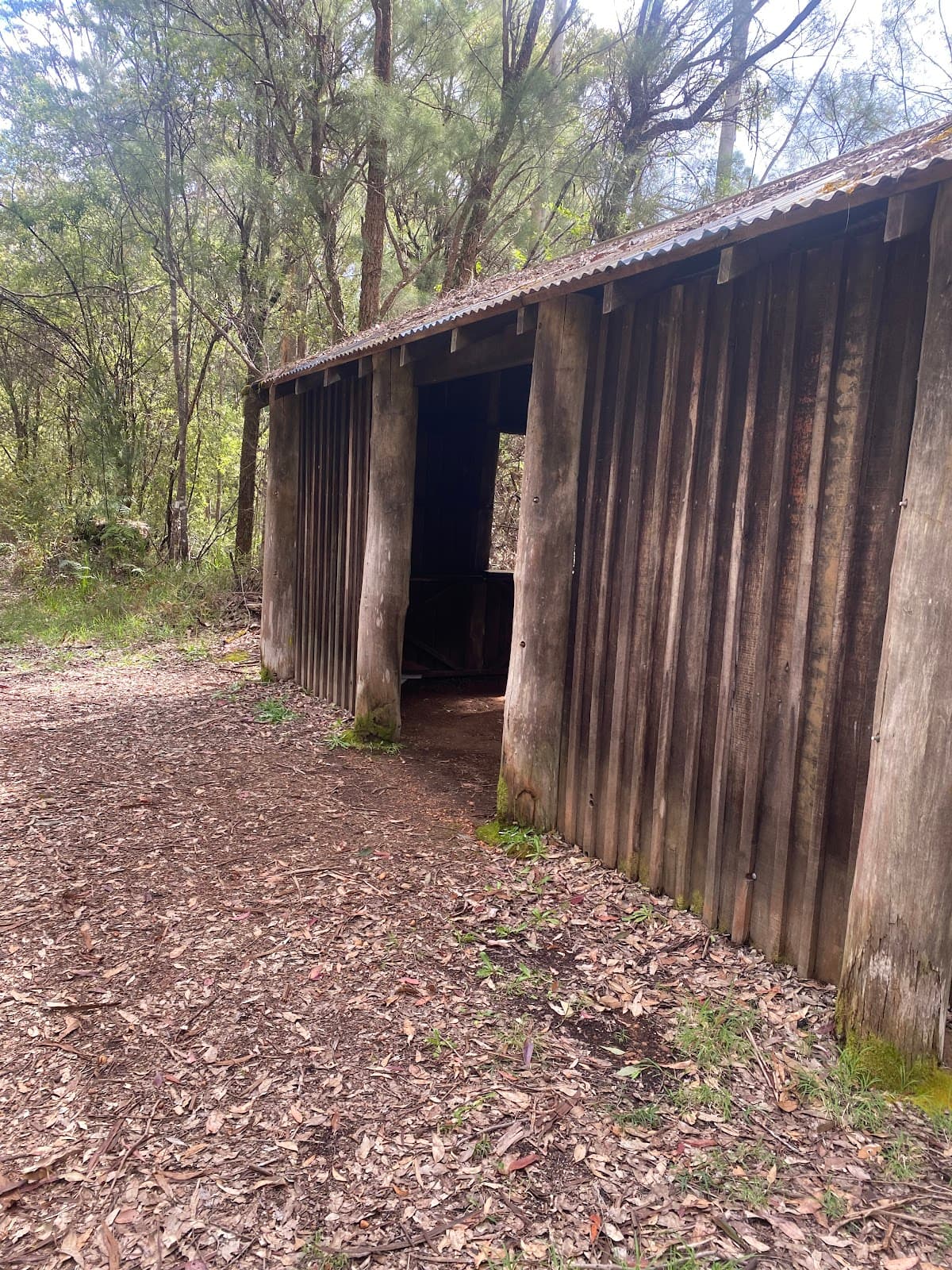 Big Brook Arboretum - Image 1