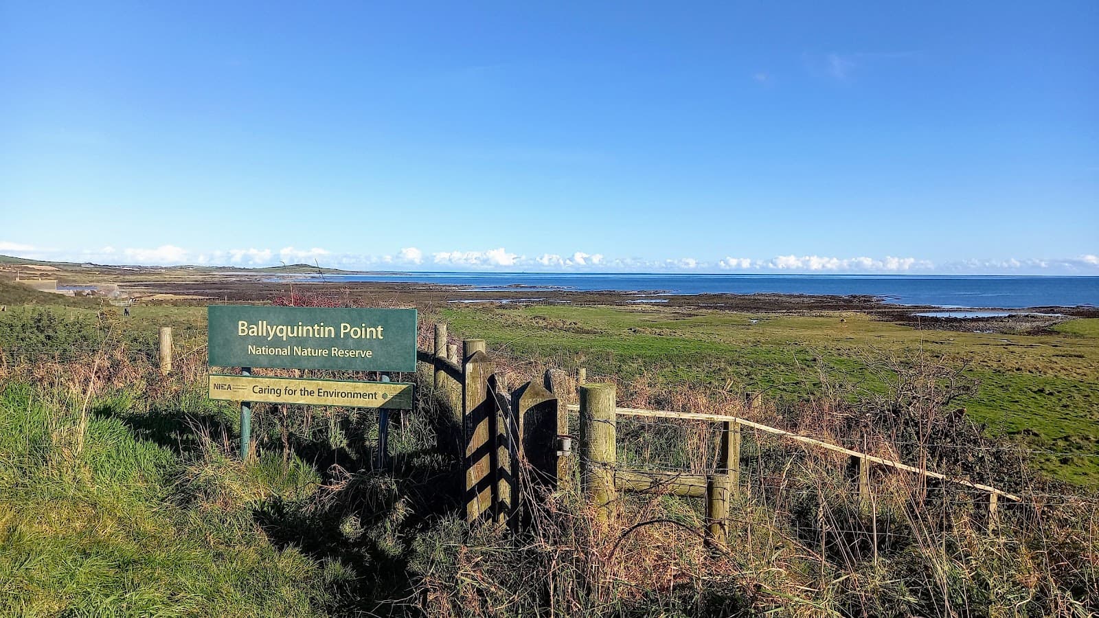 Ballyquintin Point Nature Reserve - Image 1