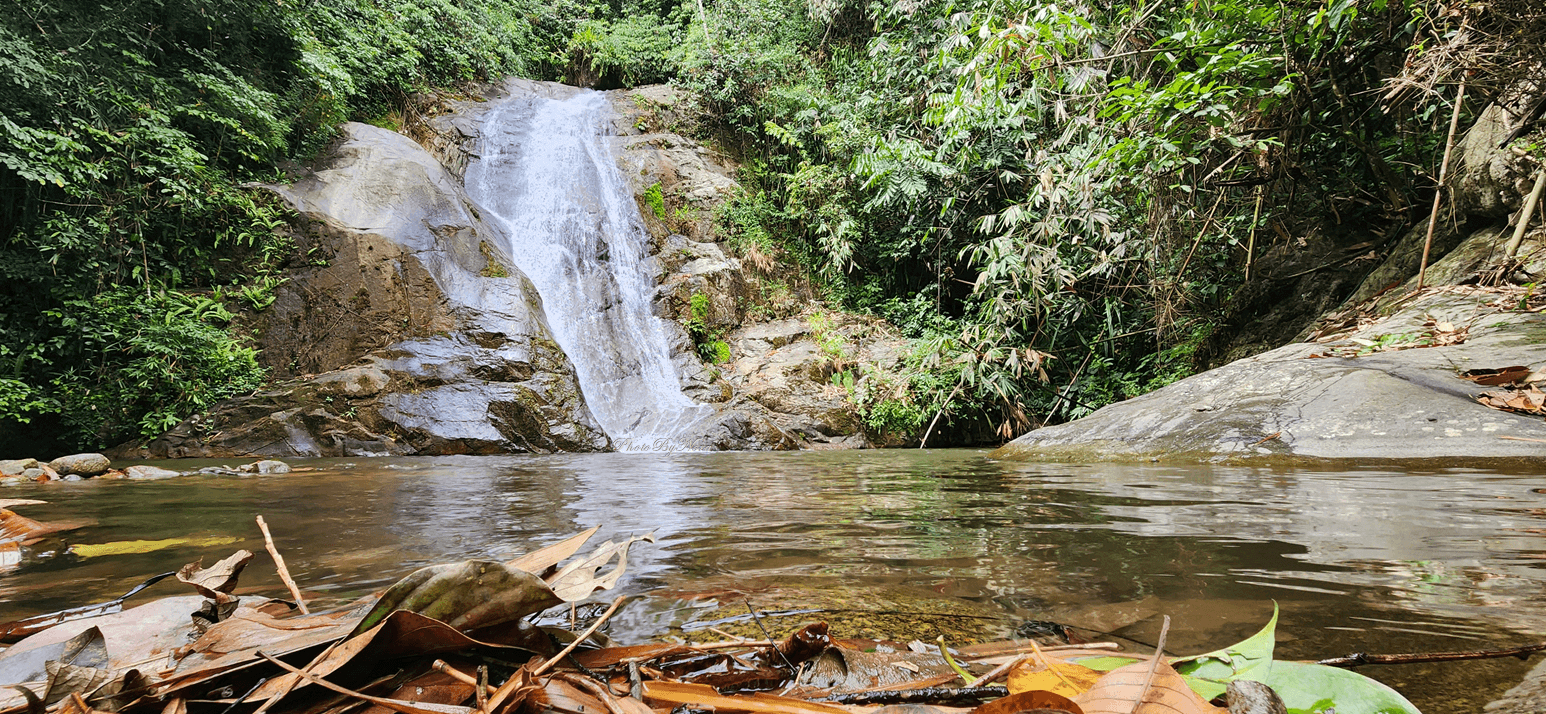 Lata Tampit (Janda Baik) - Image 1