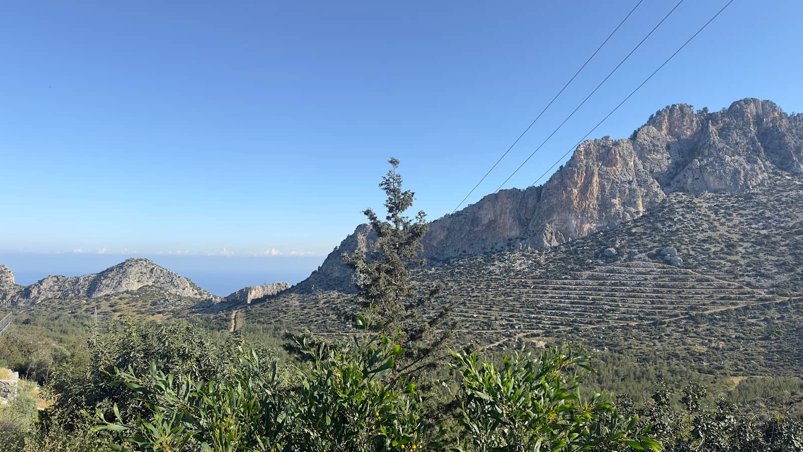 Panoramic Views