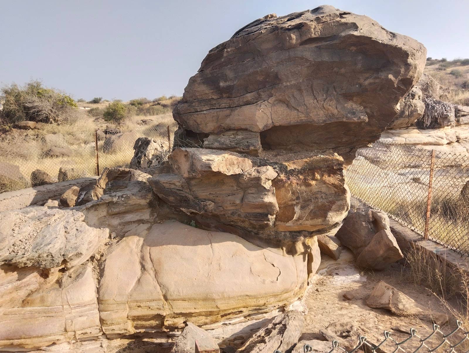 Giant Footprint Discovery