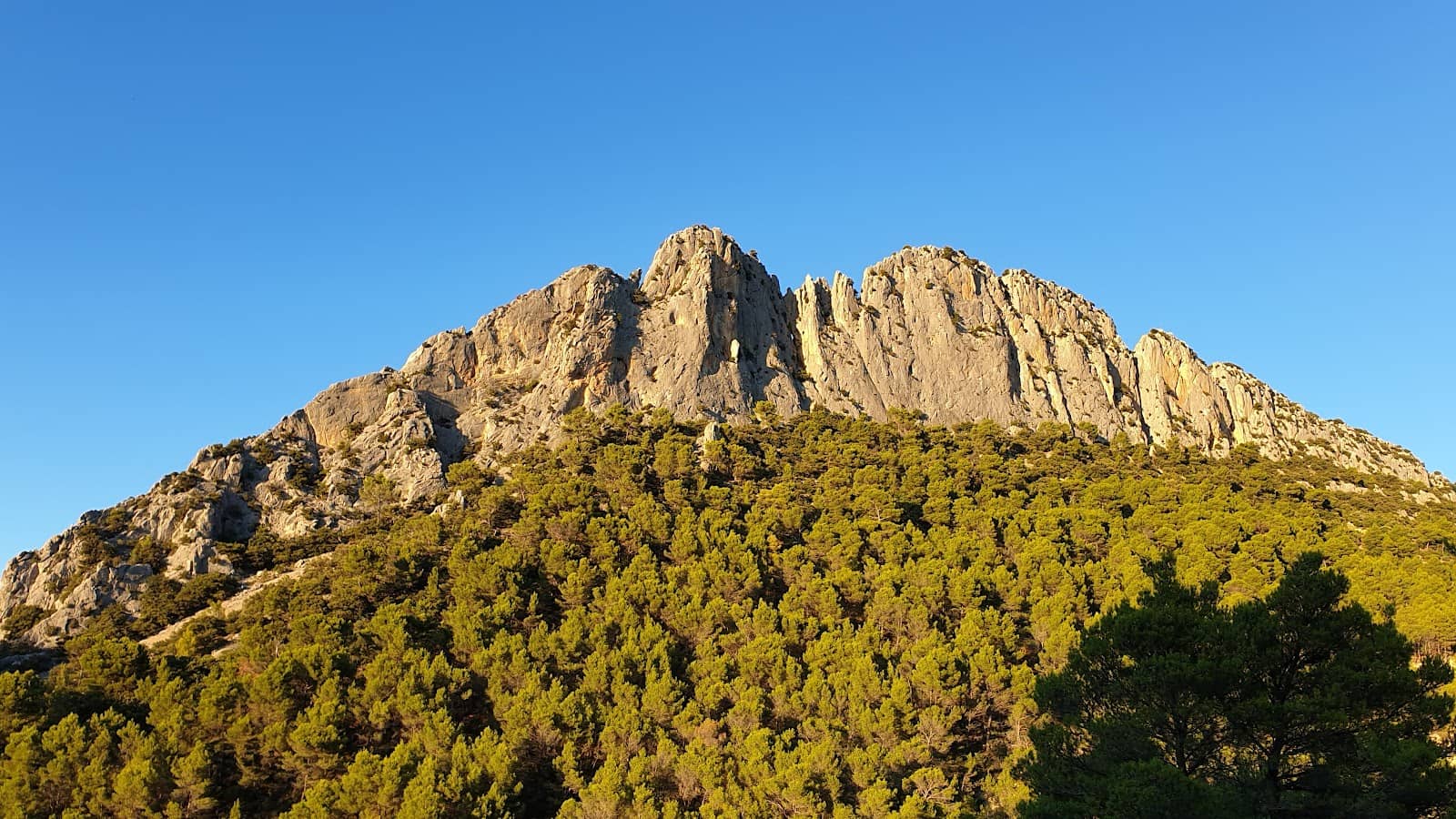 Panoramic Vistas