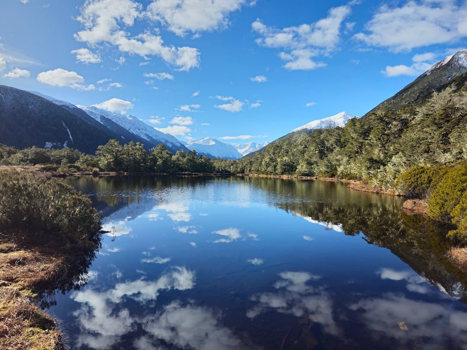 Lewis Pass National Reserve - Image 1