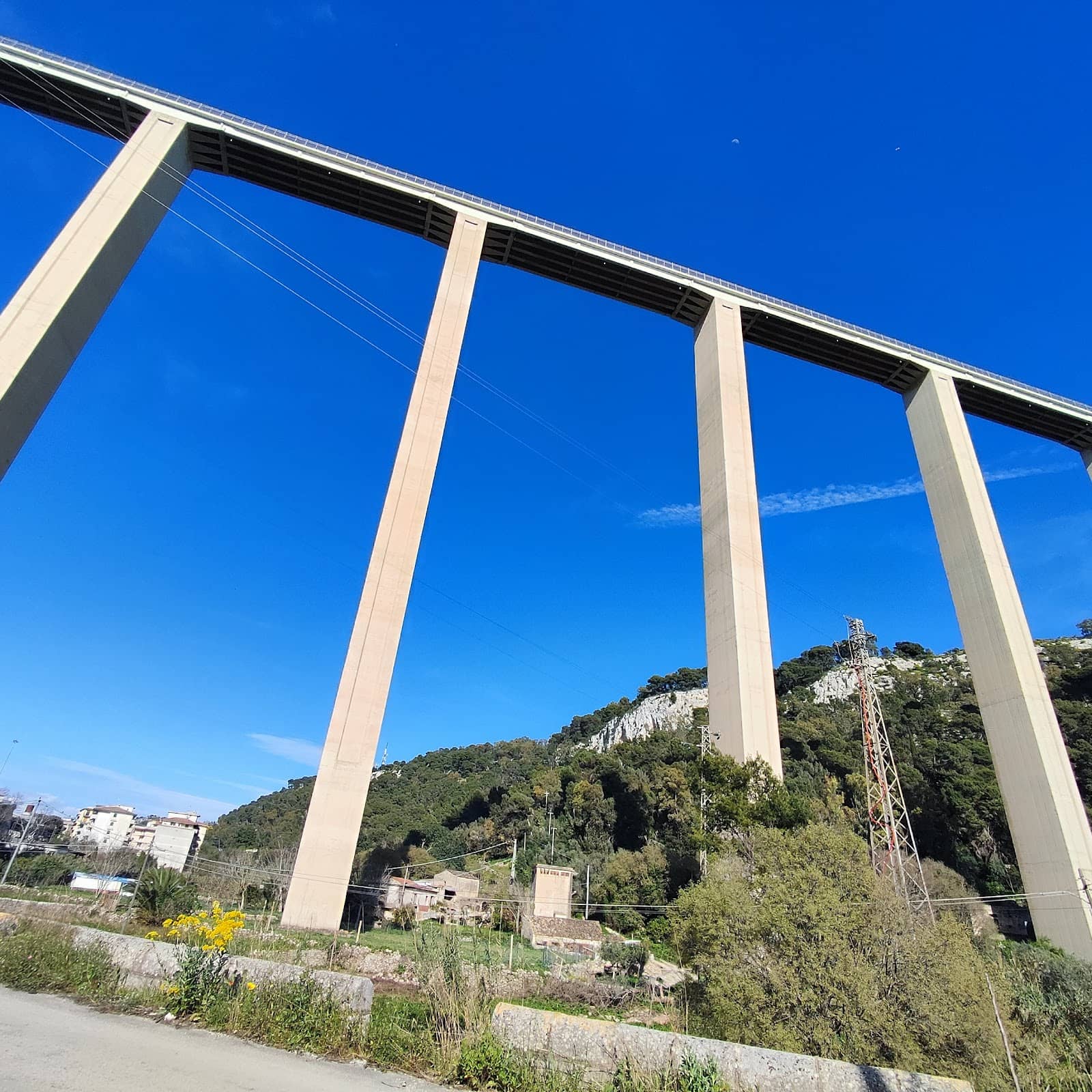 Vertical photo