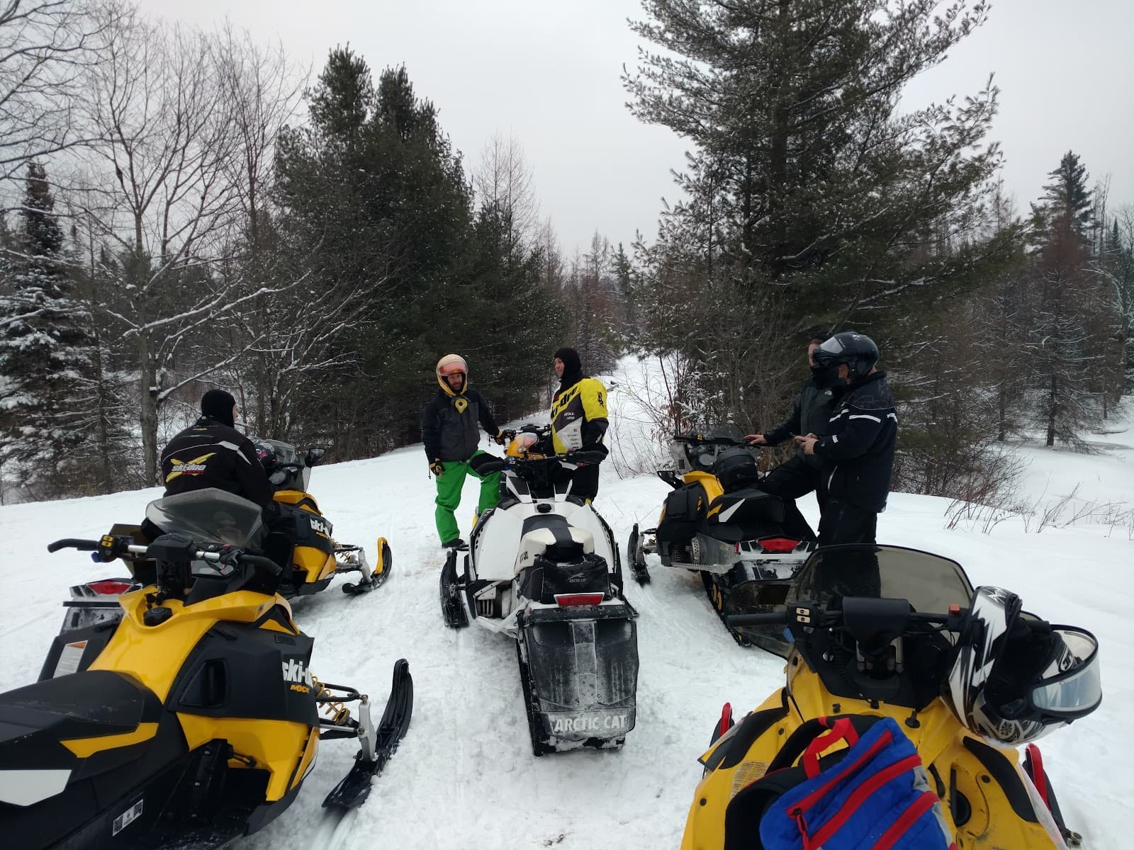 Moose River Plains Wild Forest - Image 1