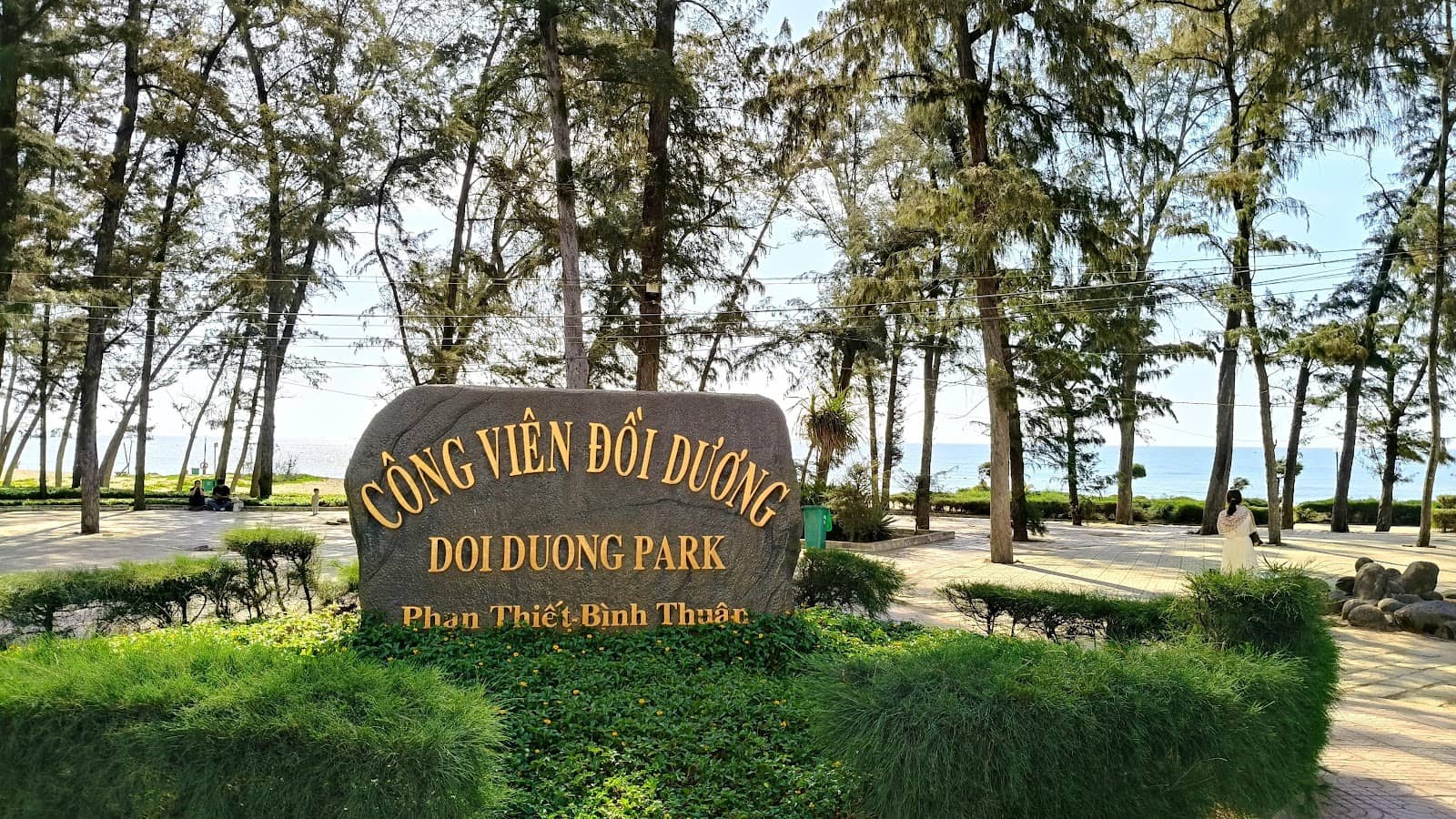 Local Street Food Delights