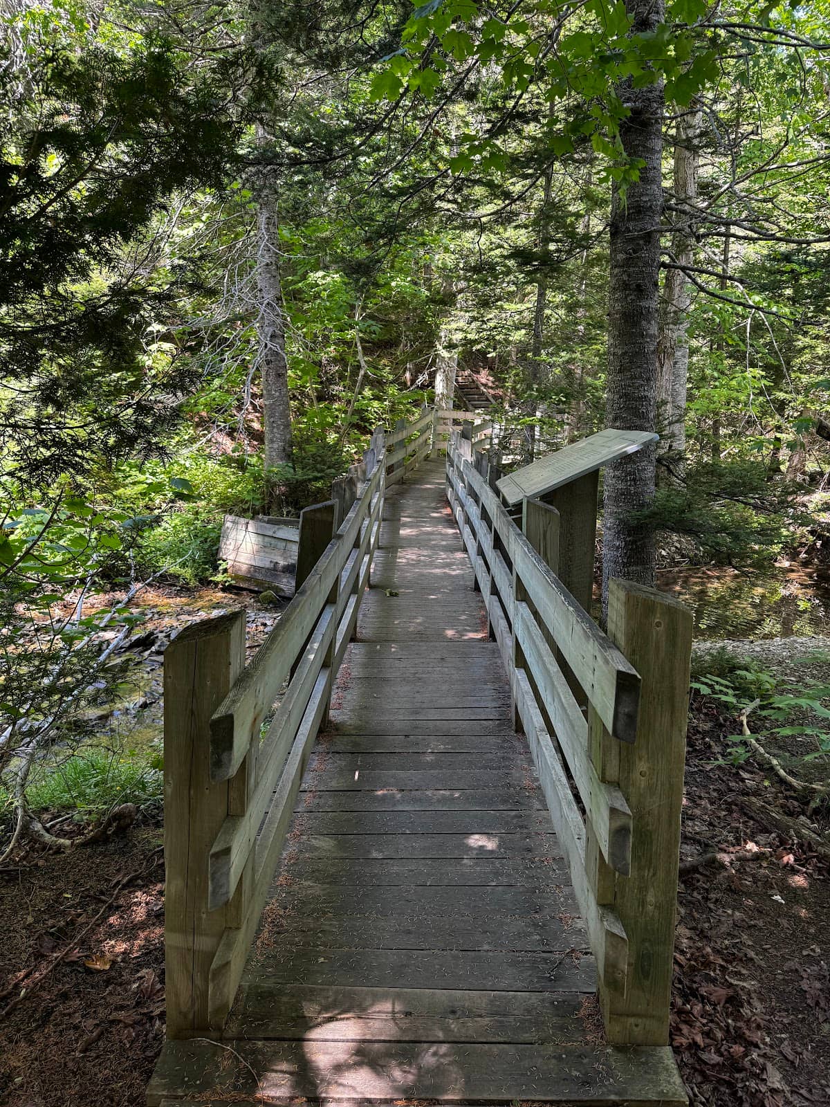 Coastal Views & Wildlife