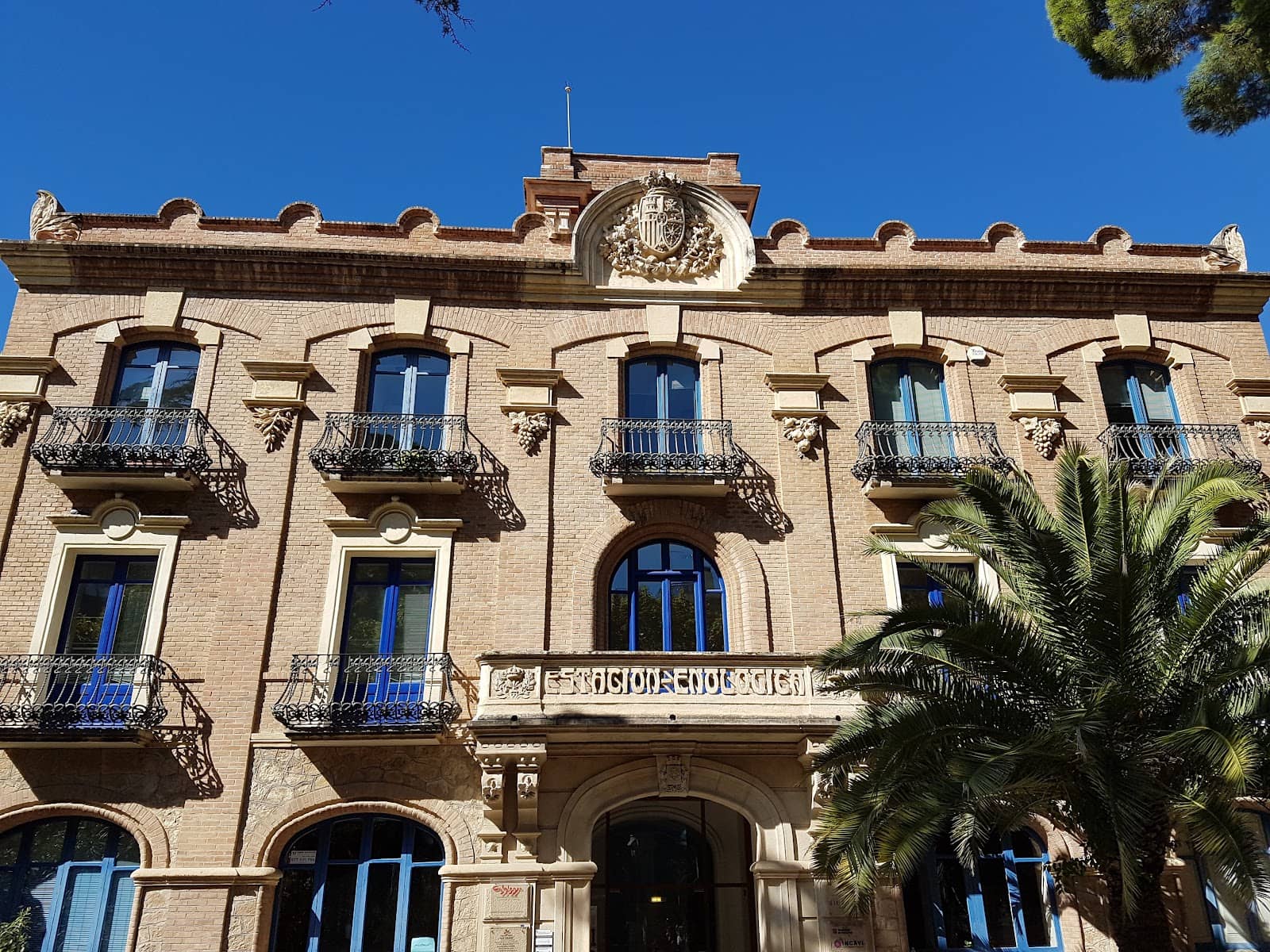 World-Class Climbing