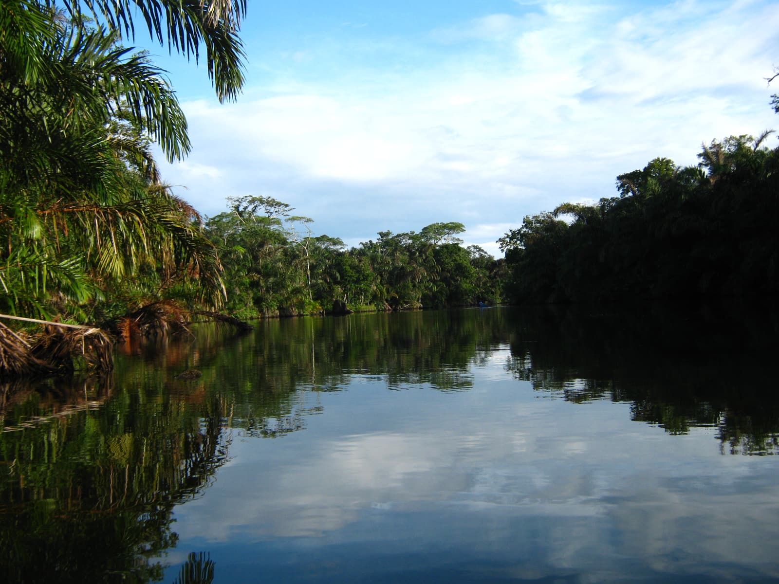 Gandoca Lagoon Costa Rica - Image 1