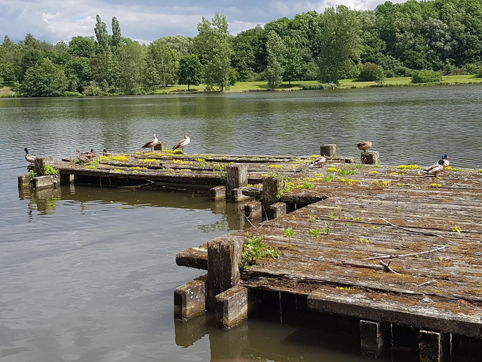 Ümminger See - Image 1