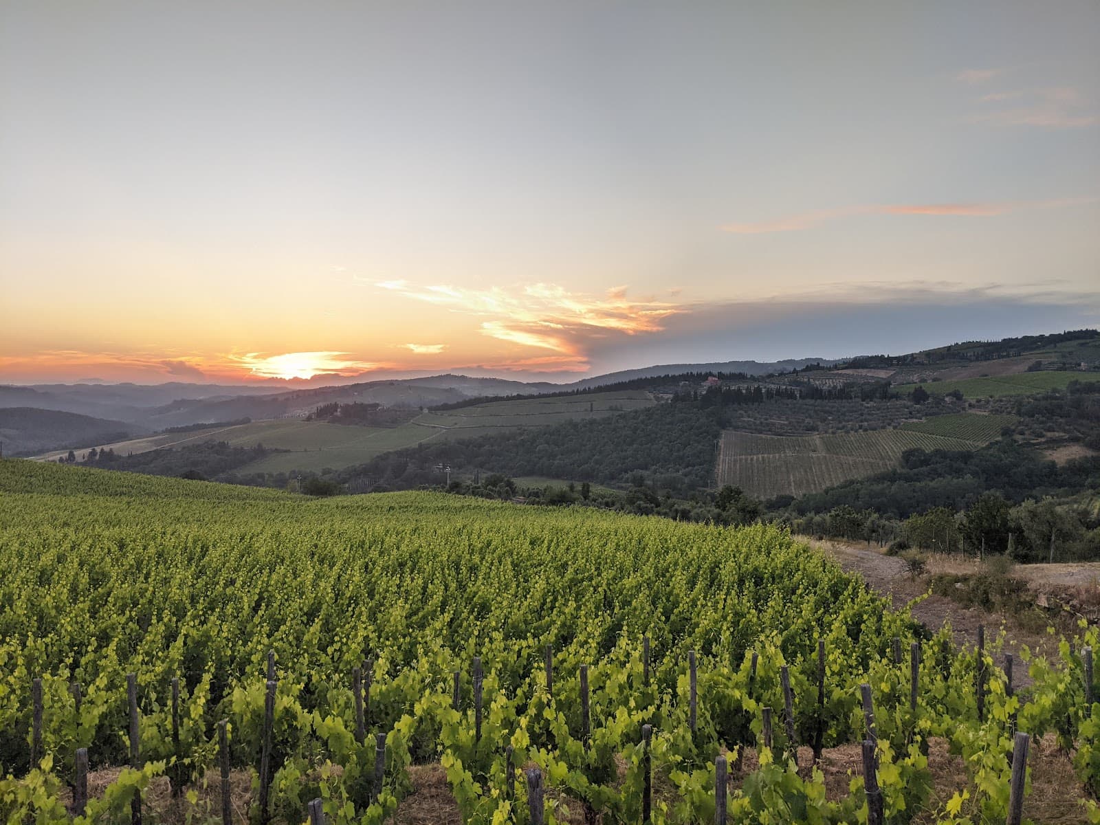 Panzano Panorama - Image 1