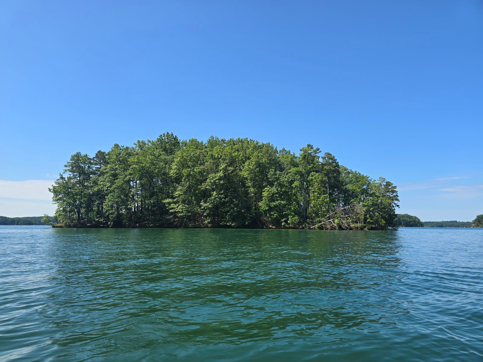 Young Deer Park - Image 1