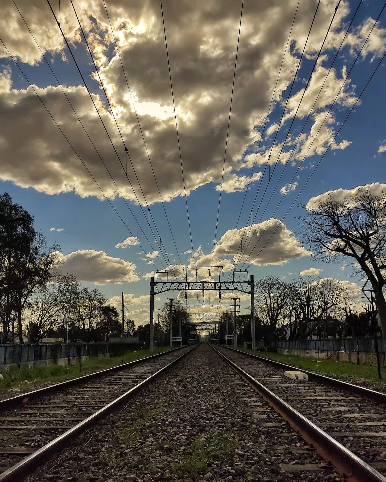 Vertical photo