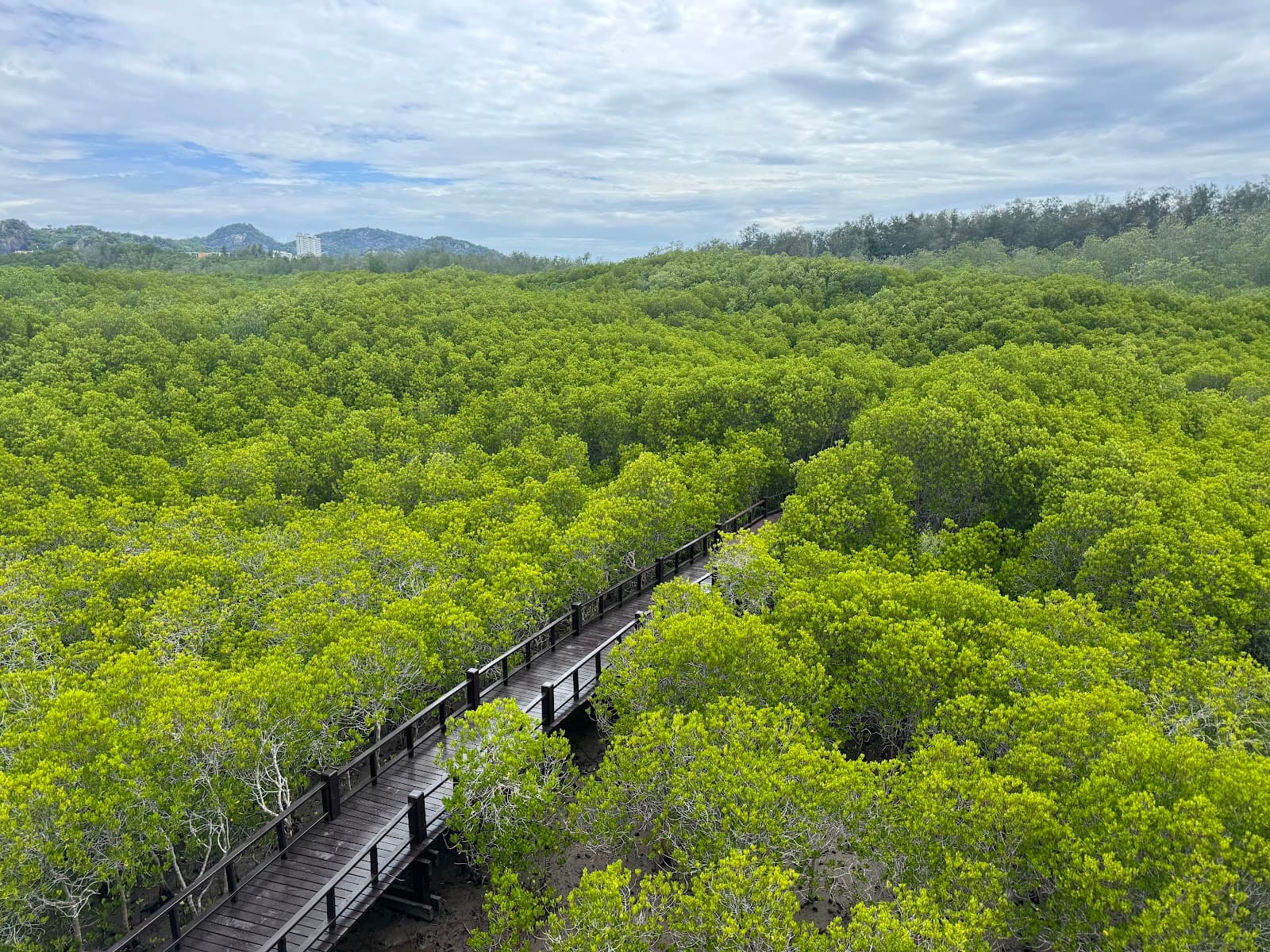 Pranburi Forest Park - Image 1