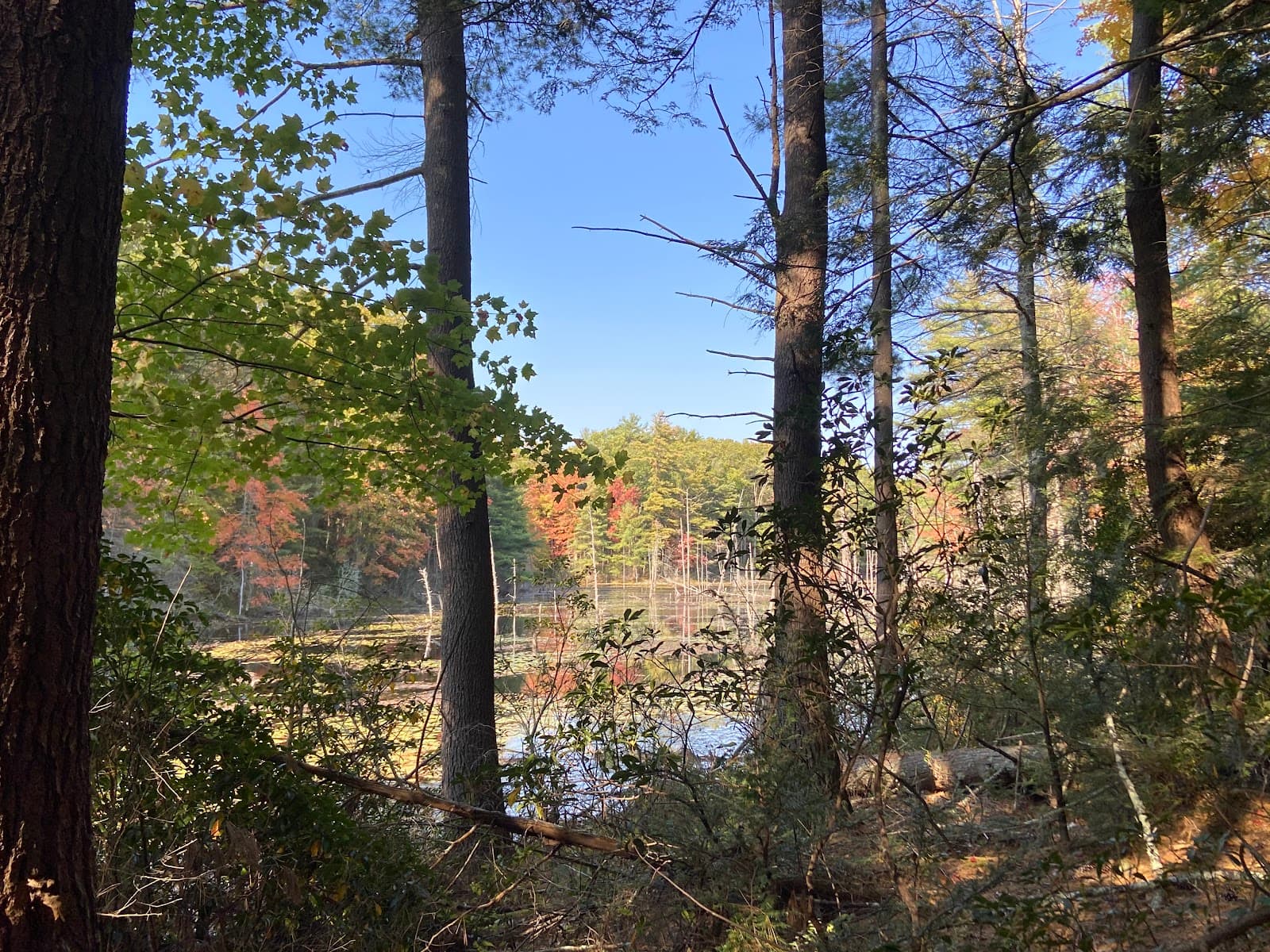 Opacum Woods Preserve - Image 1