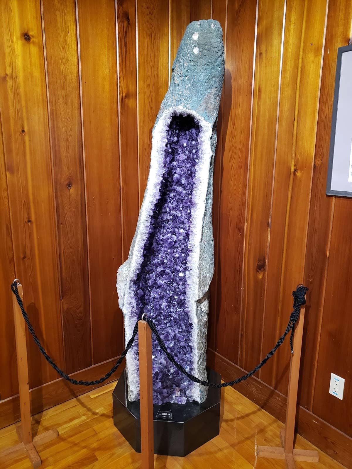 Rotating Exhibitions