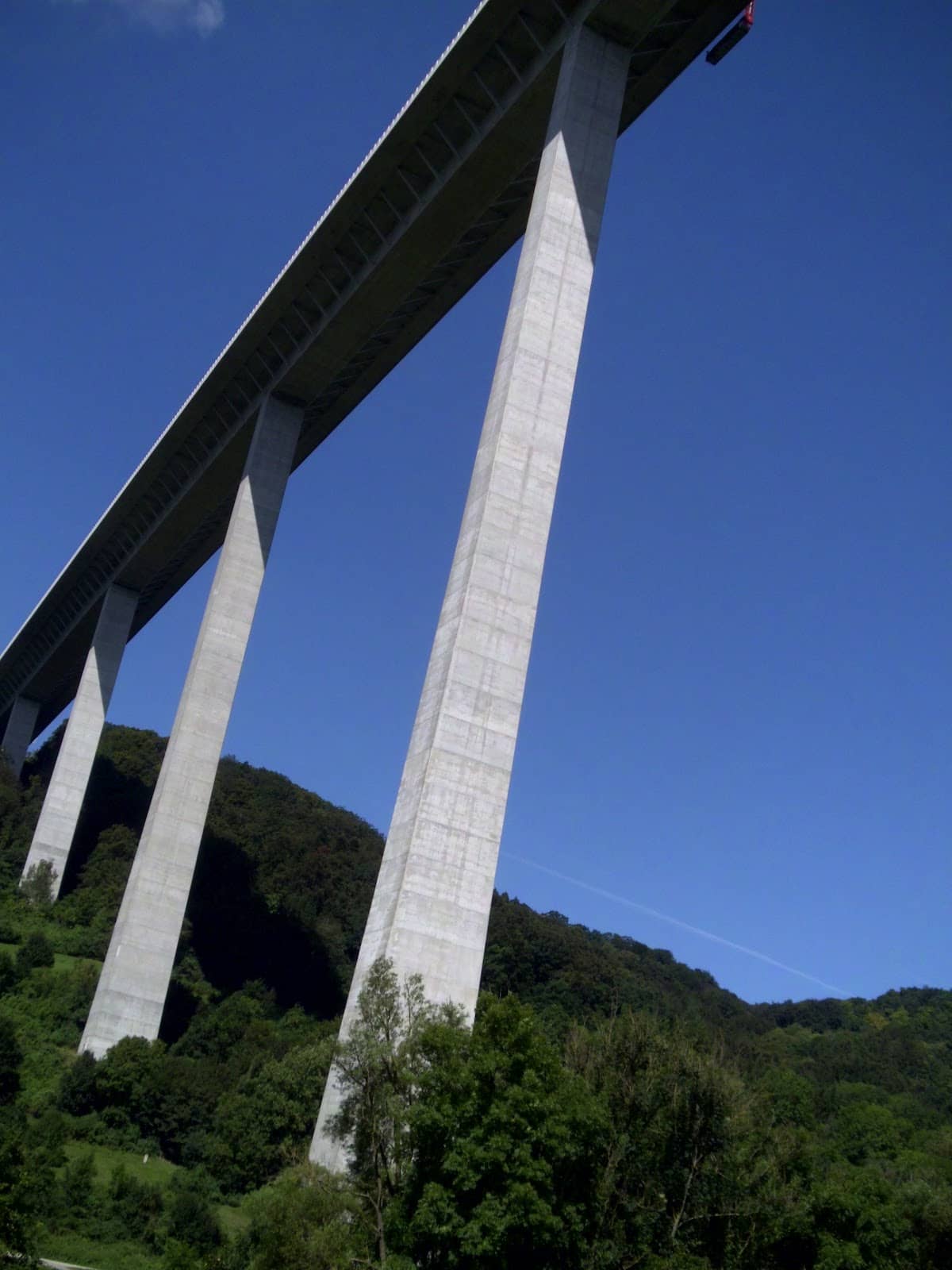 Vertical photo