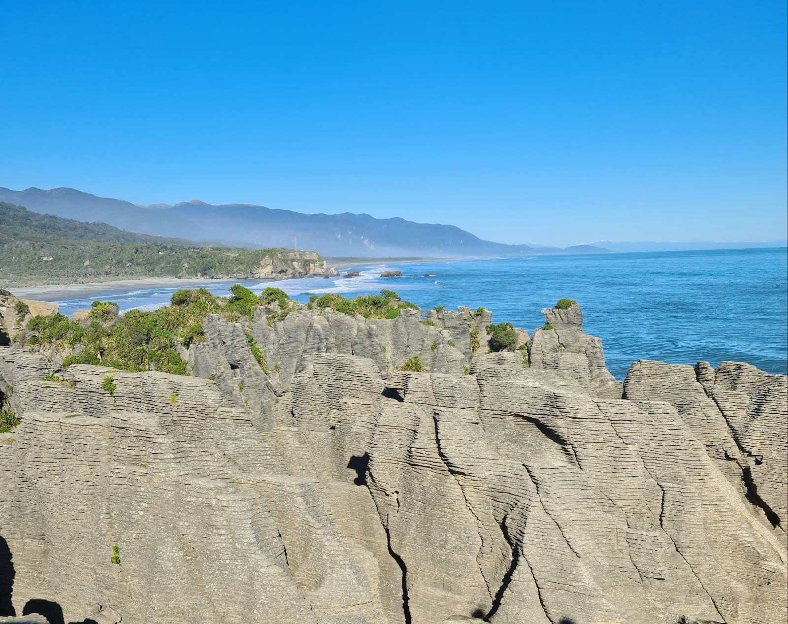 Paparoa National Park - Image 1