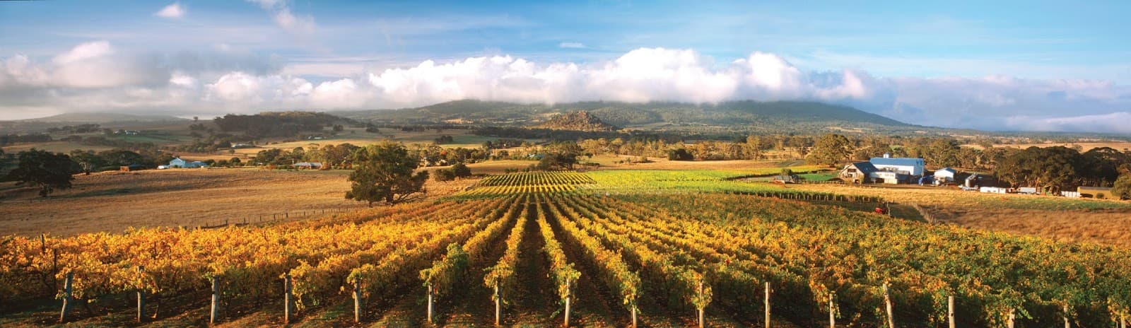 Hanging Rock Winery - Image 1