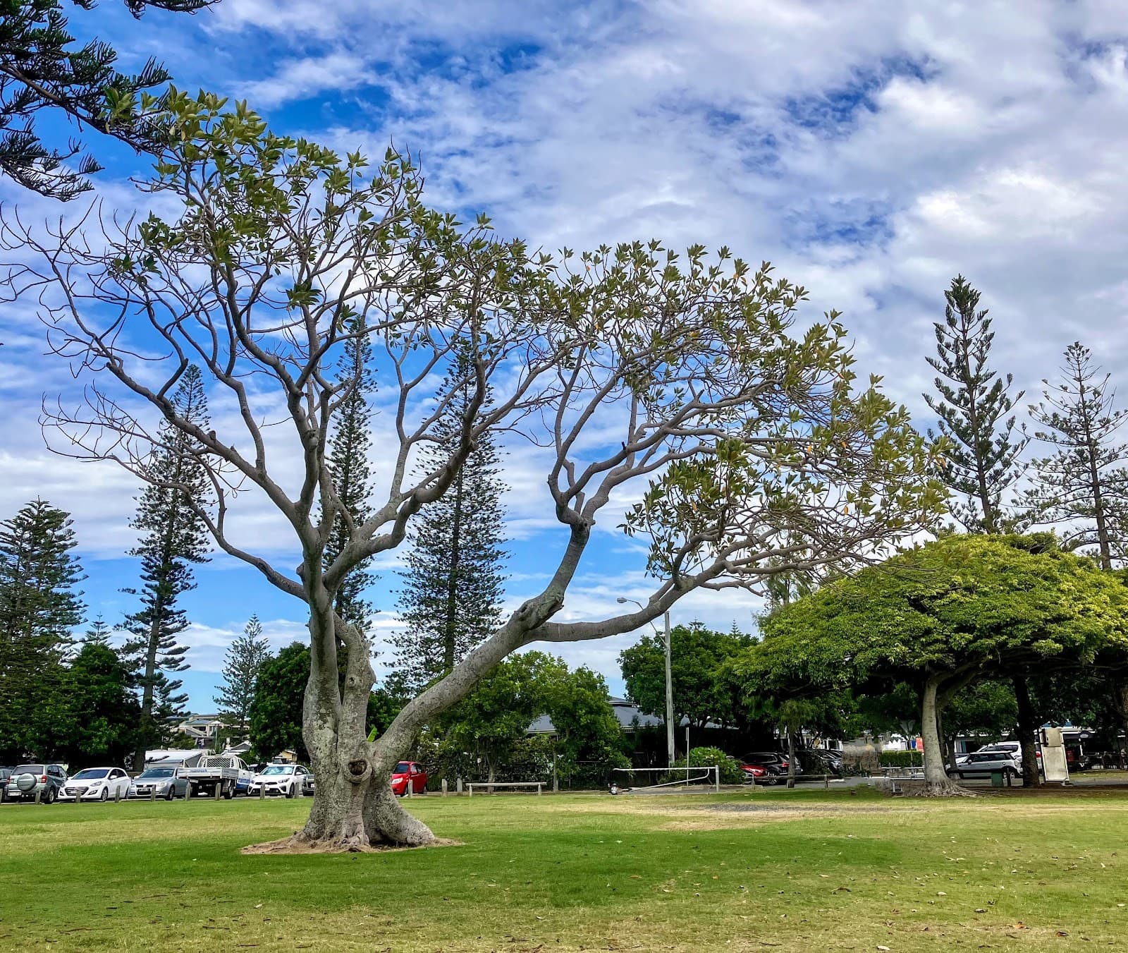 Jamieson Park (Scarborough) - Image 1