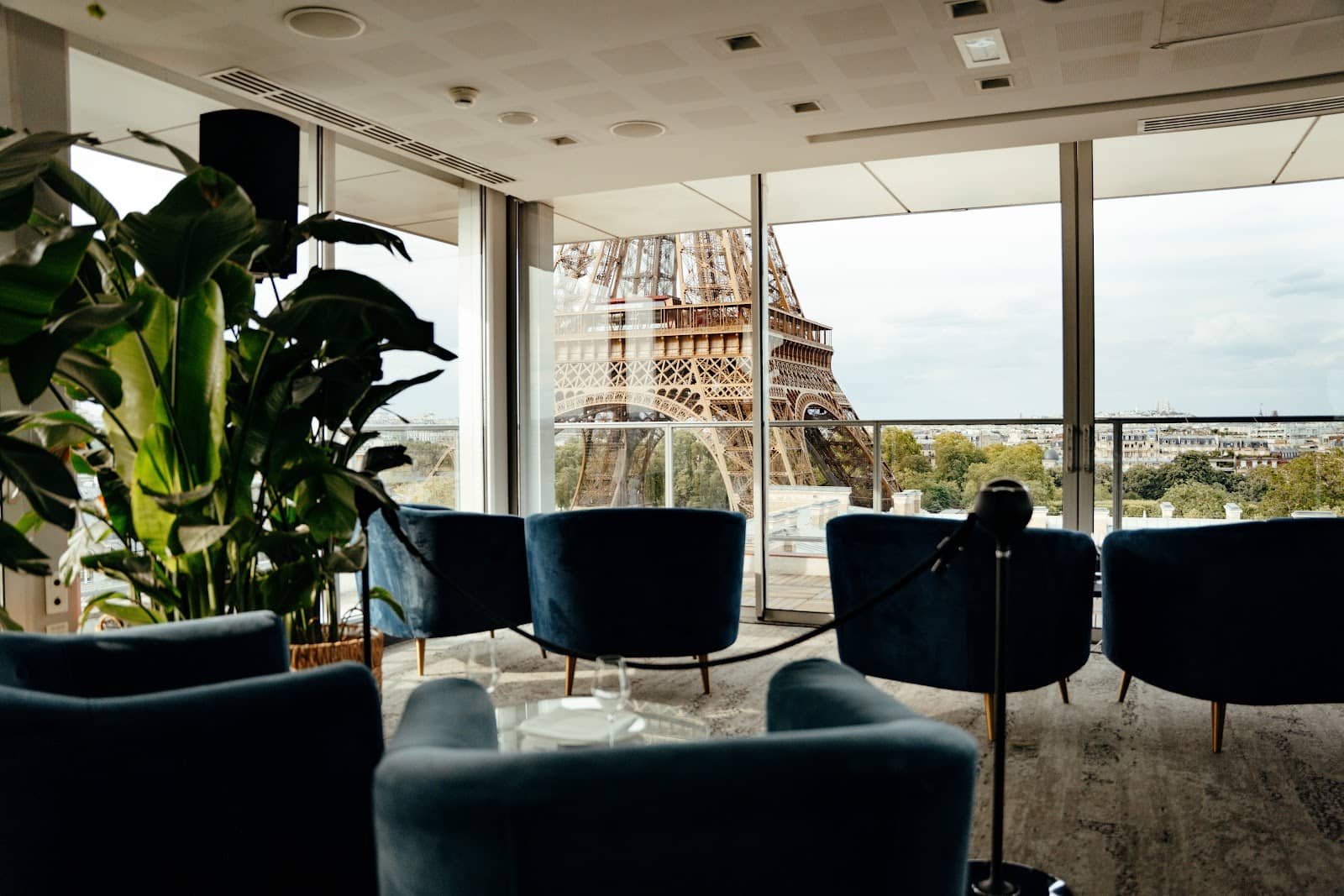 Signature Cocktails & Bites