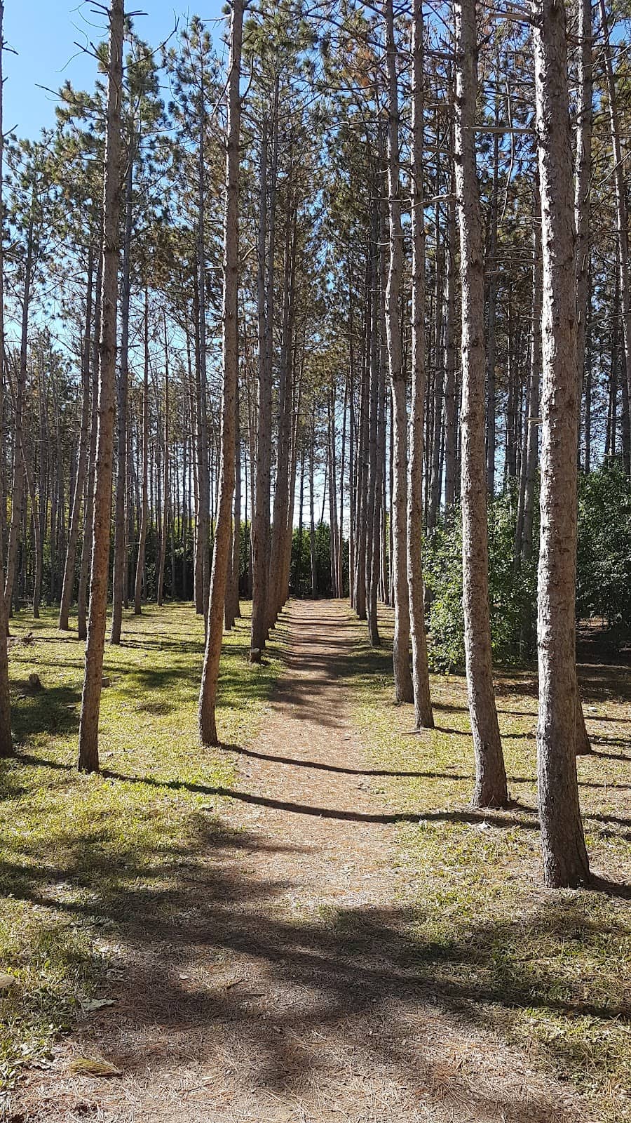 Vertical photo