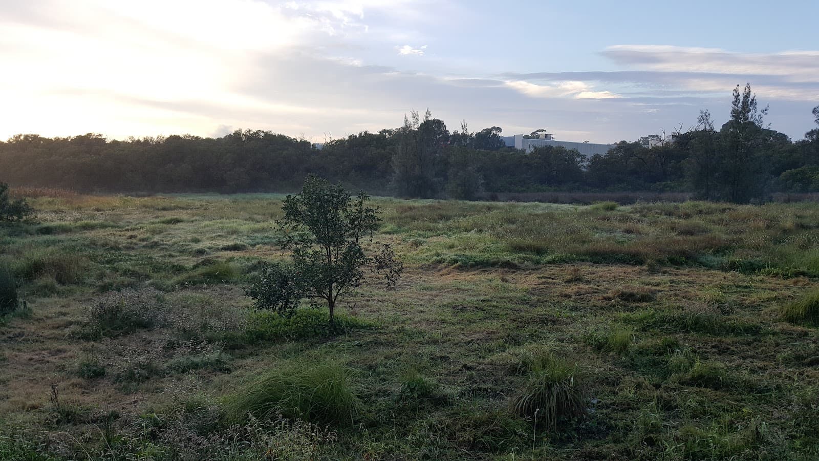 Burramatta Aboriginal Landscape Trail - Image 1