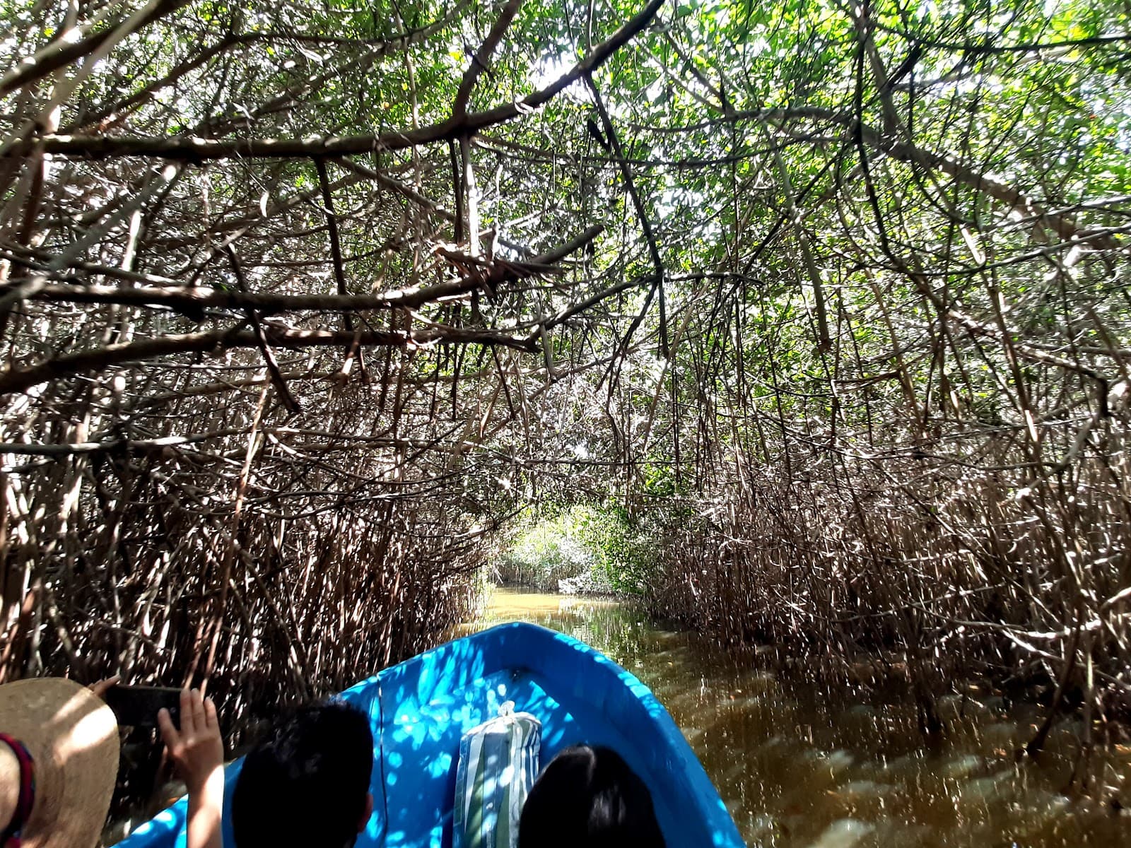 Estero Palo Verde - Image 1