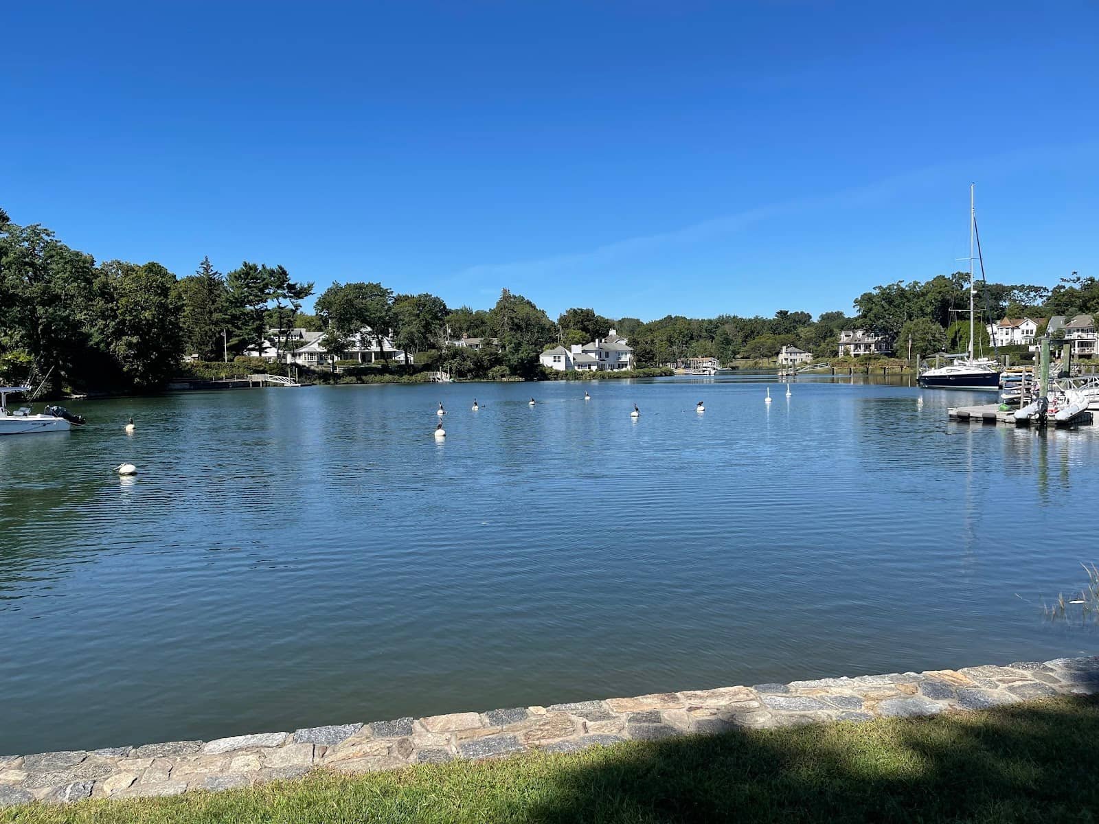 Five Mile River Views