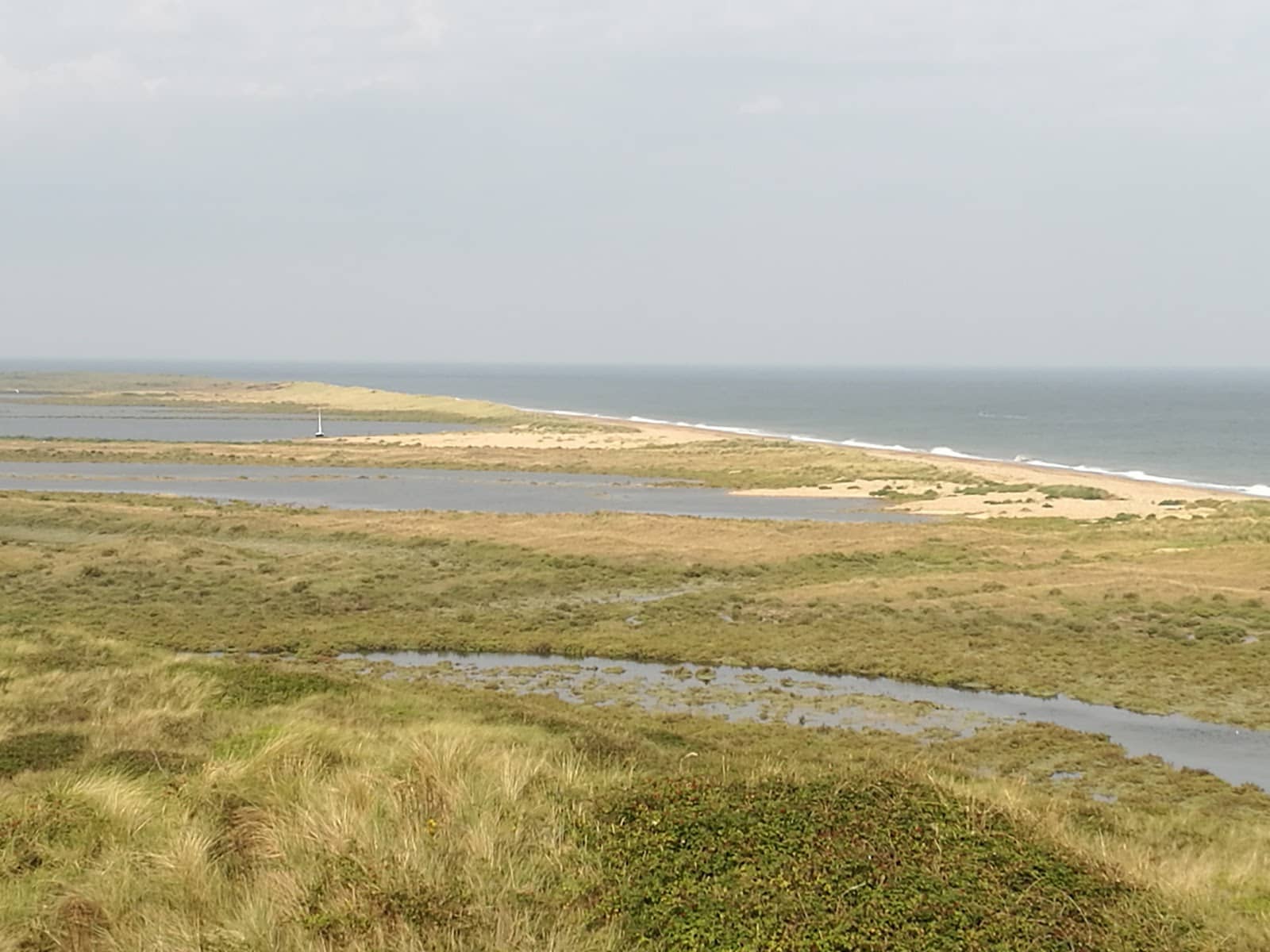 Birdwatcher's Paradise