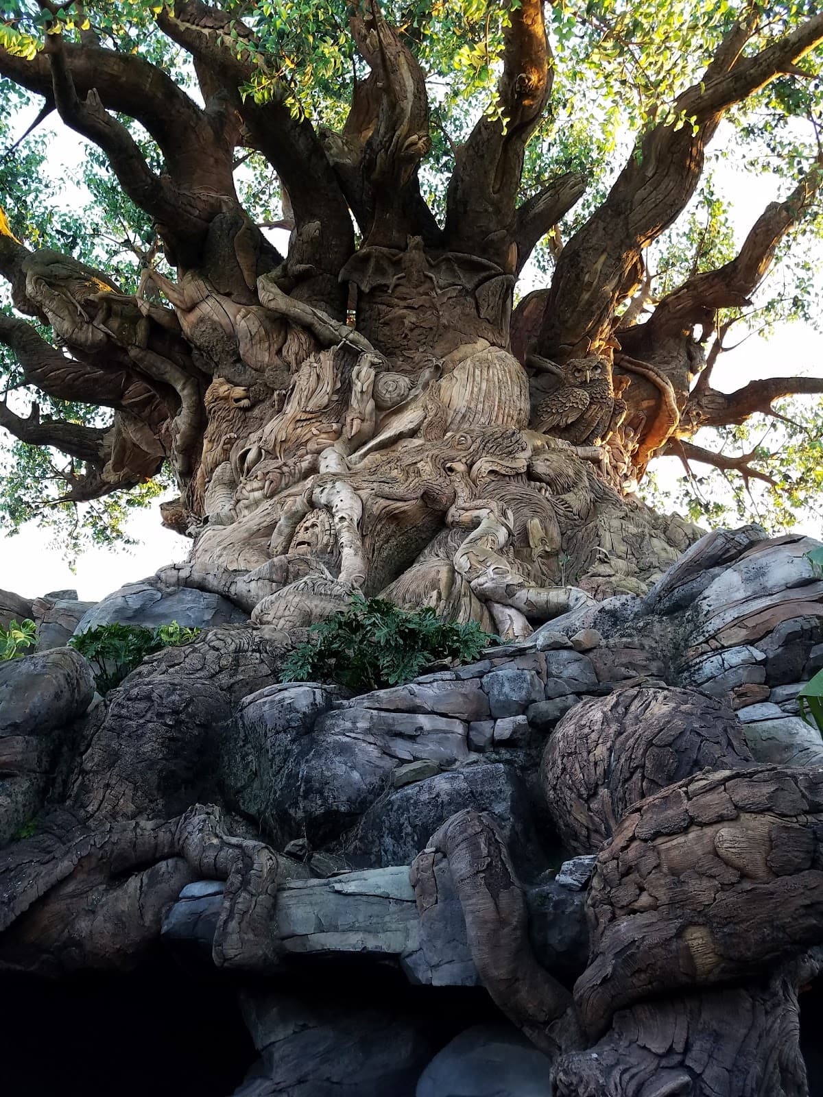 Animation Courtyard, Hollywood Studios - Image 1
