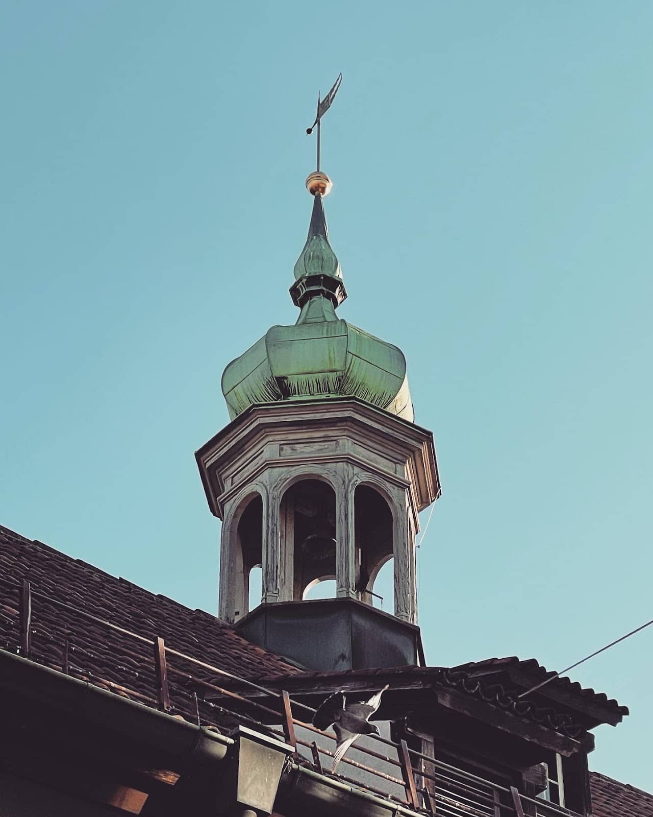 Cultural Events & Exhibitions