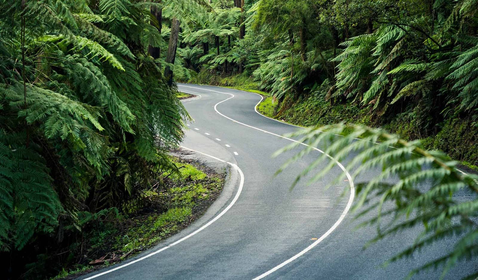Winding Scenic Road