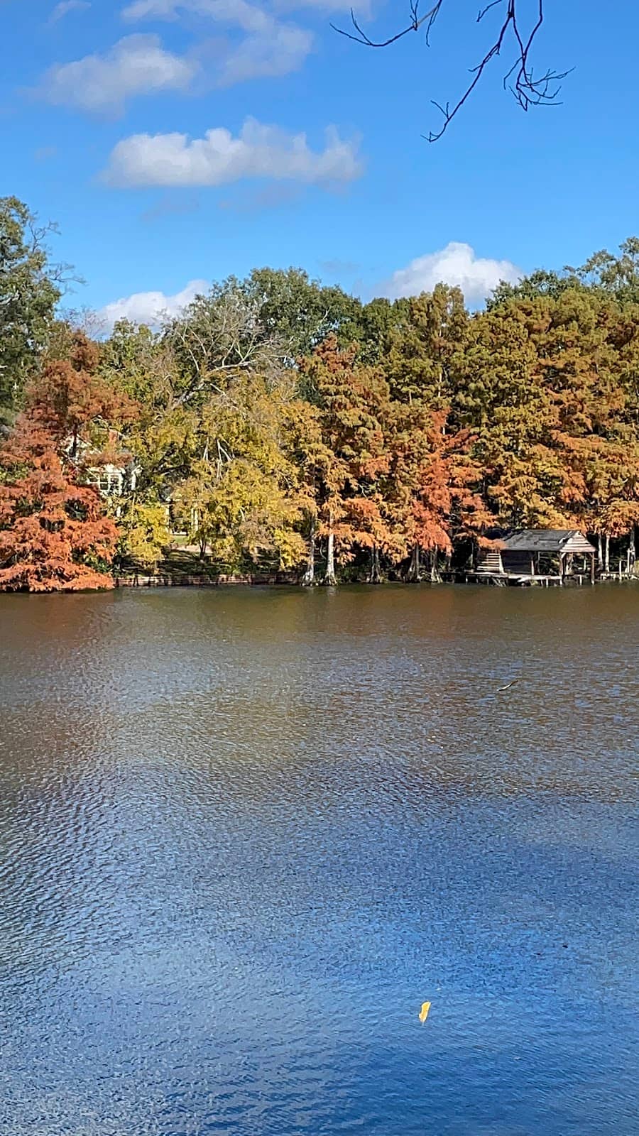 Fishing Opportunities