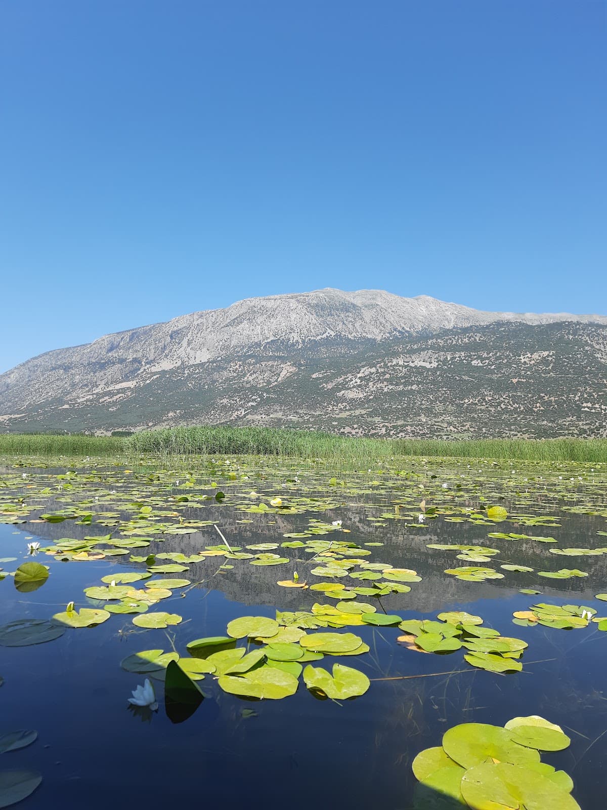 Işıklı Lake - Image 1