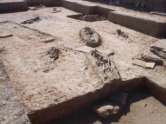 Museo de la Villa Romana de Las Gabias - Image 1