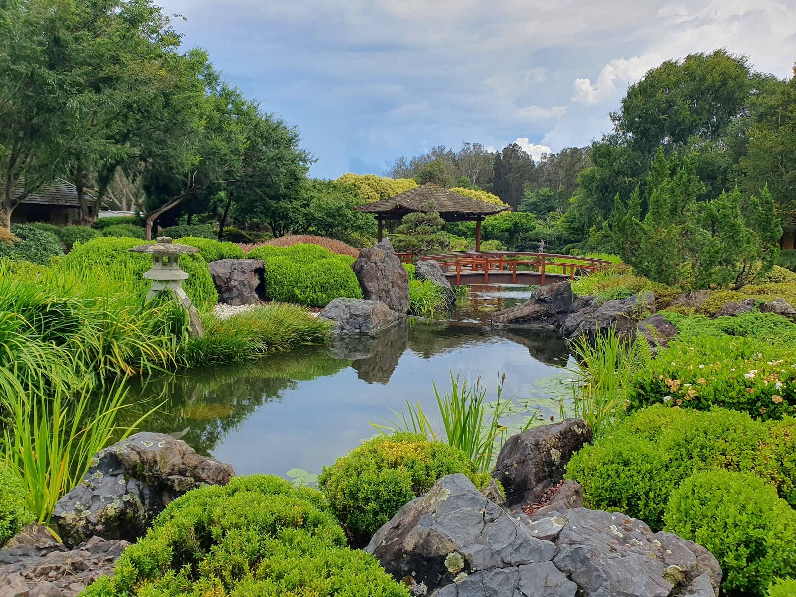 Koi Pond & Wildlife