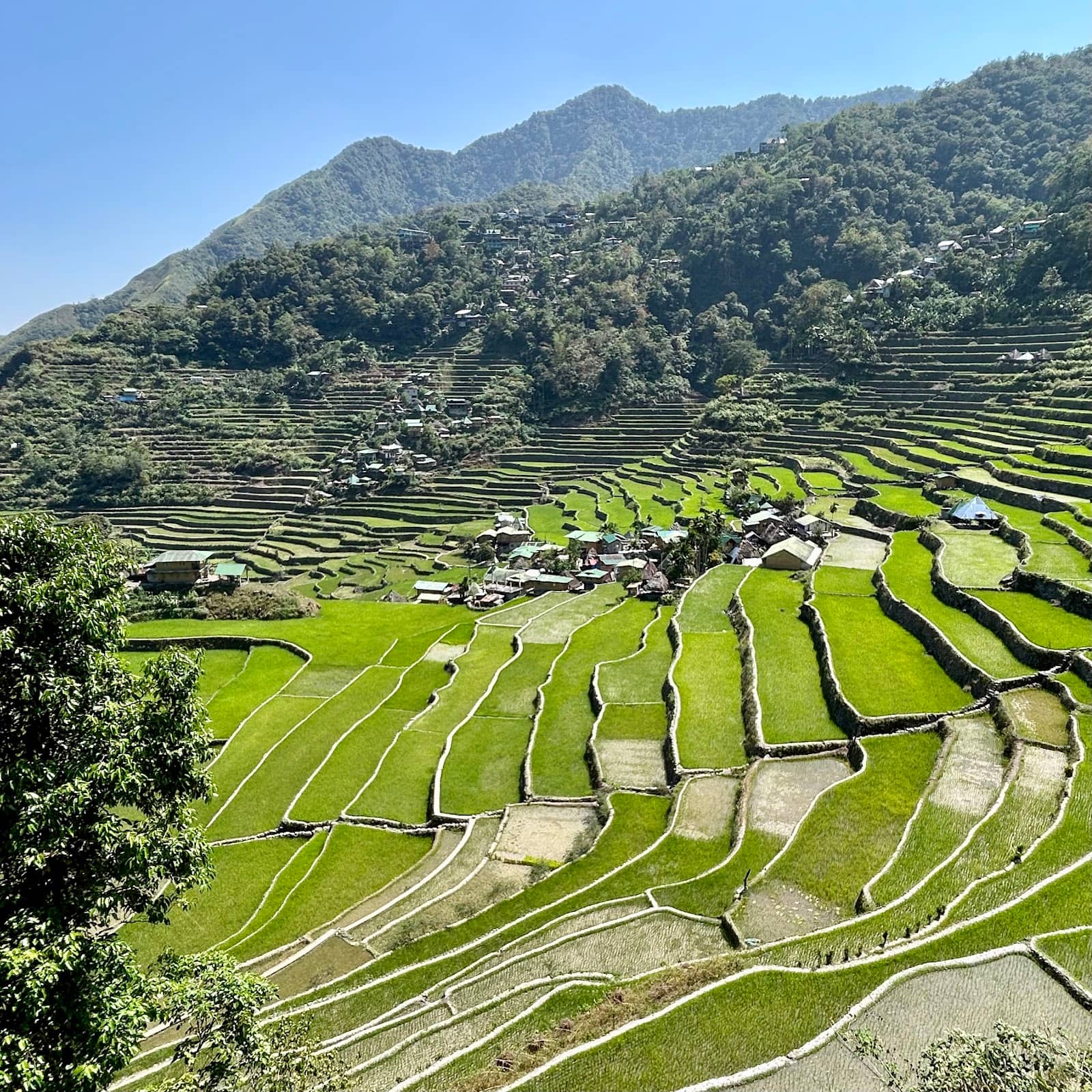 Banaue Viewpoints