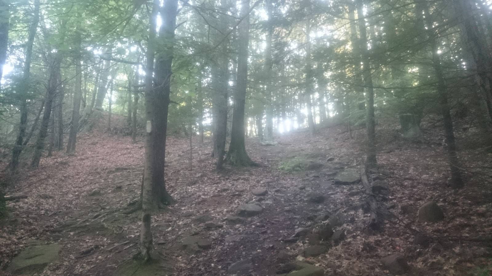 Rocky Outcrops