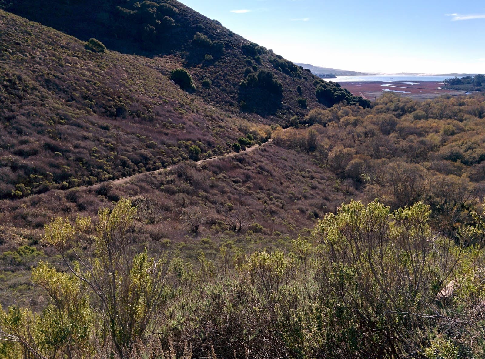 Cerro Cabrillo Morro Bay - Image 1