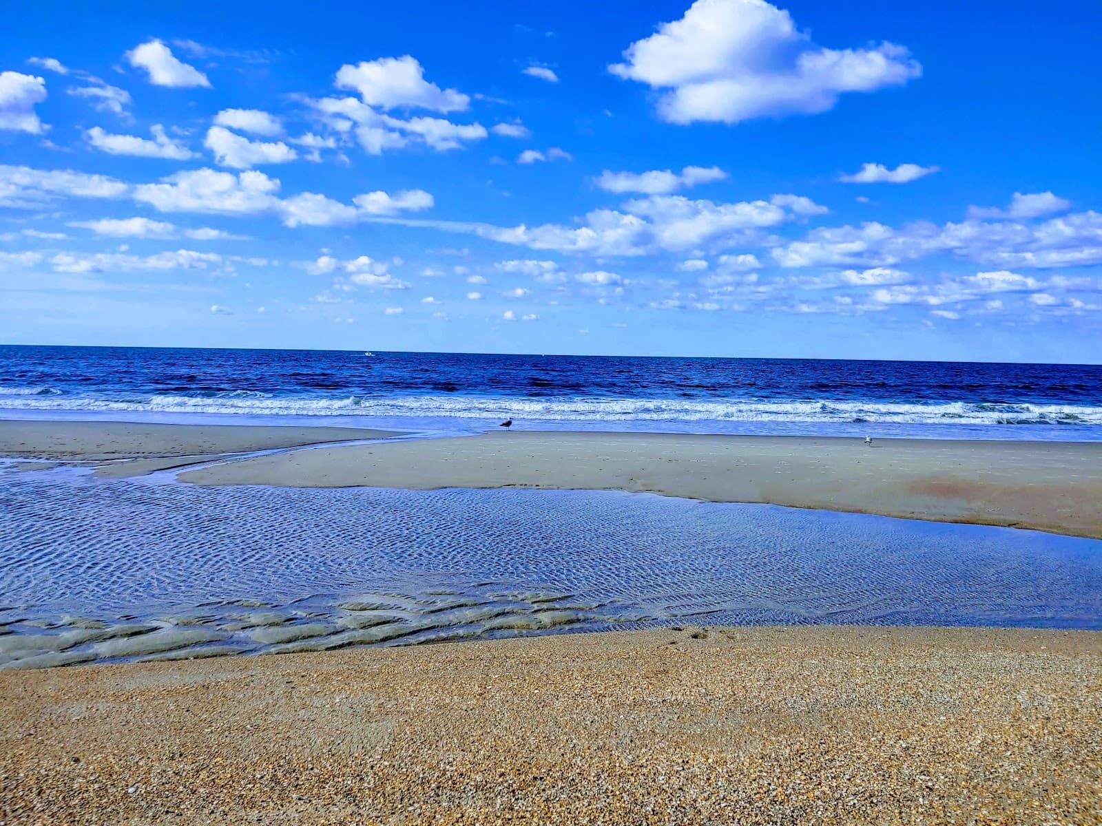 The Circle at Atlantic Beach - Image 1