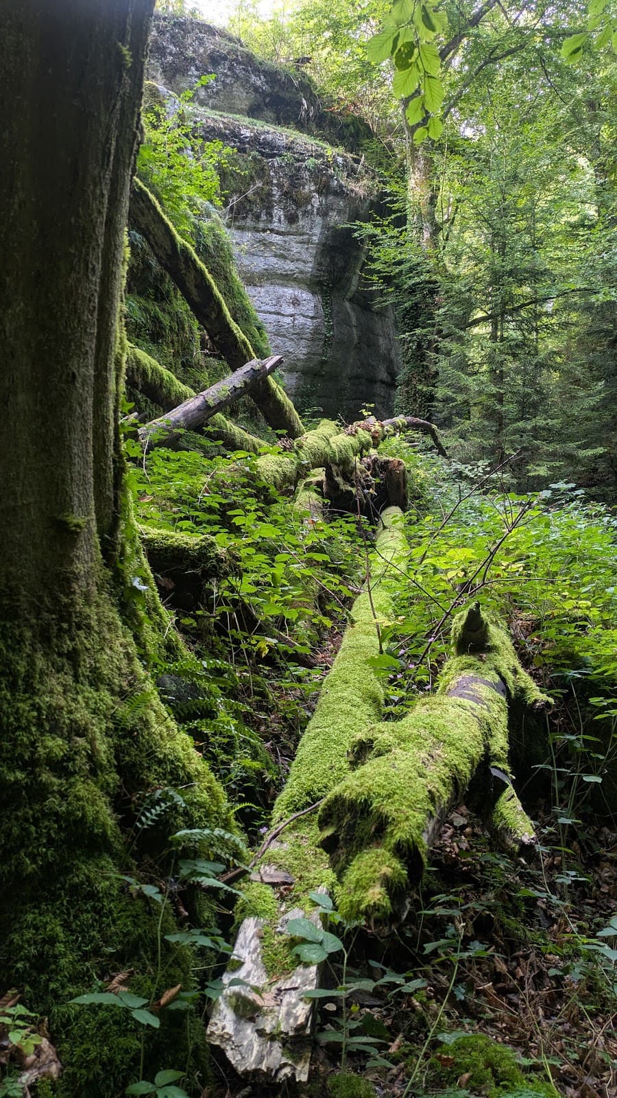 Gorges du Bret - Image 1