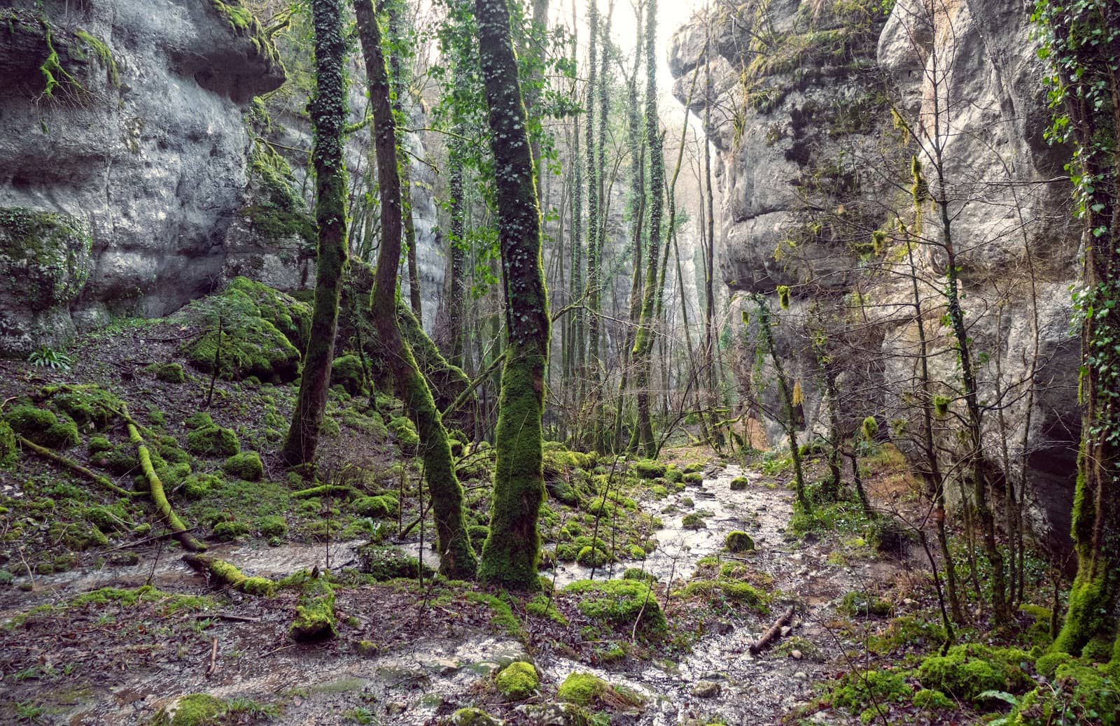 Vertical photo