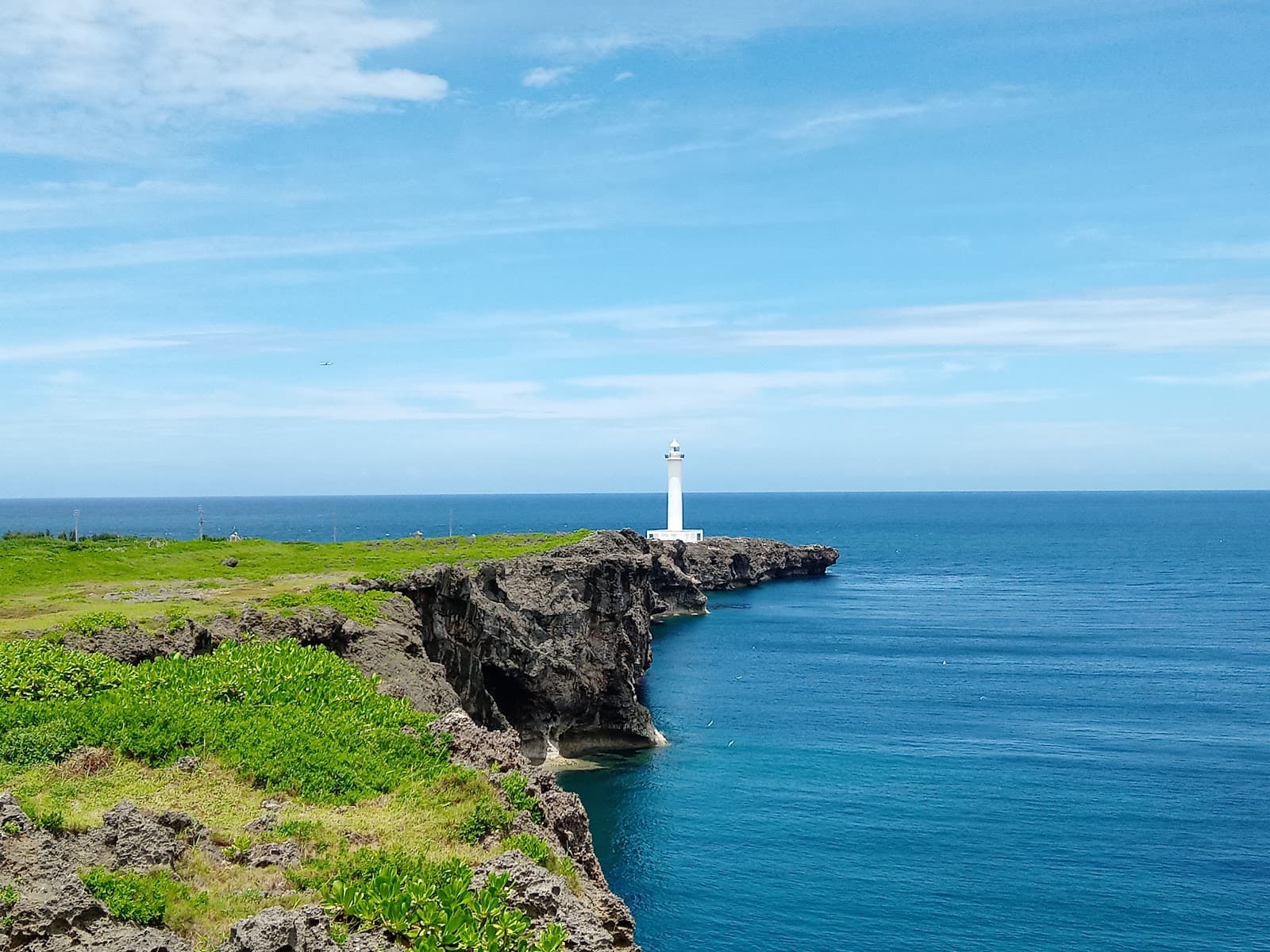 Zanpa Sunflower Fields - Image 1