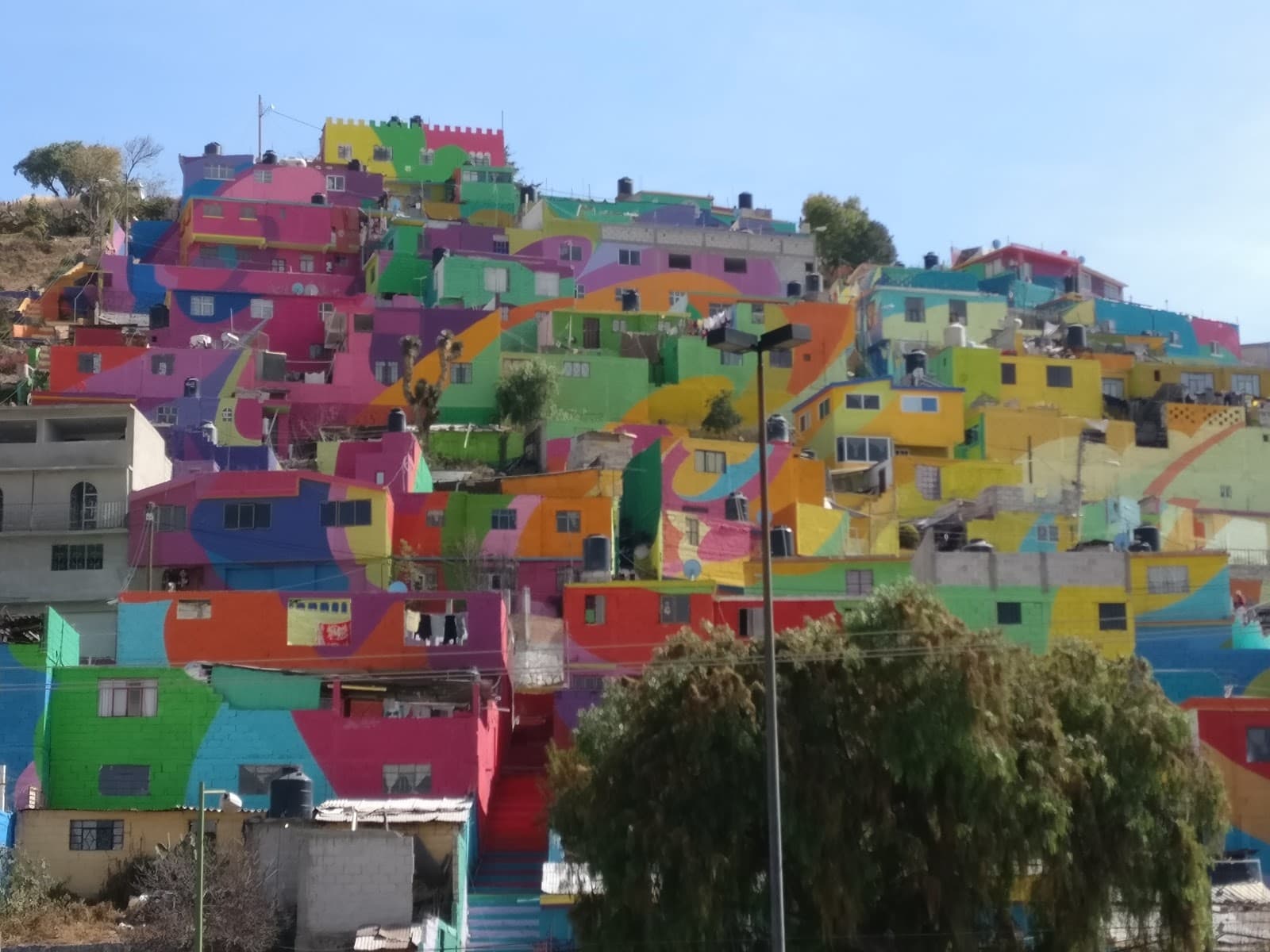 Las Palmitas Macro Mural - Image 1