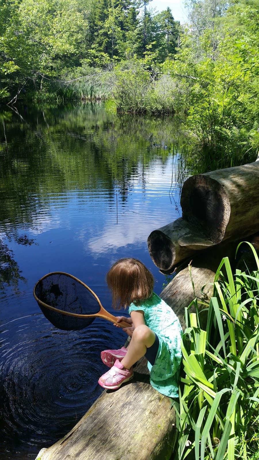 Turkey Hill Farm - Image 1