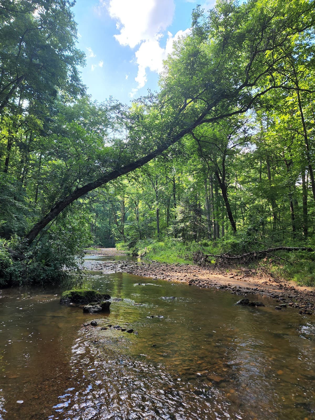 Paint Branch Trail - Image 1