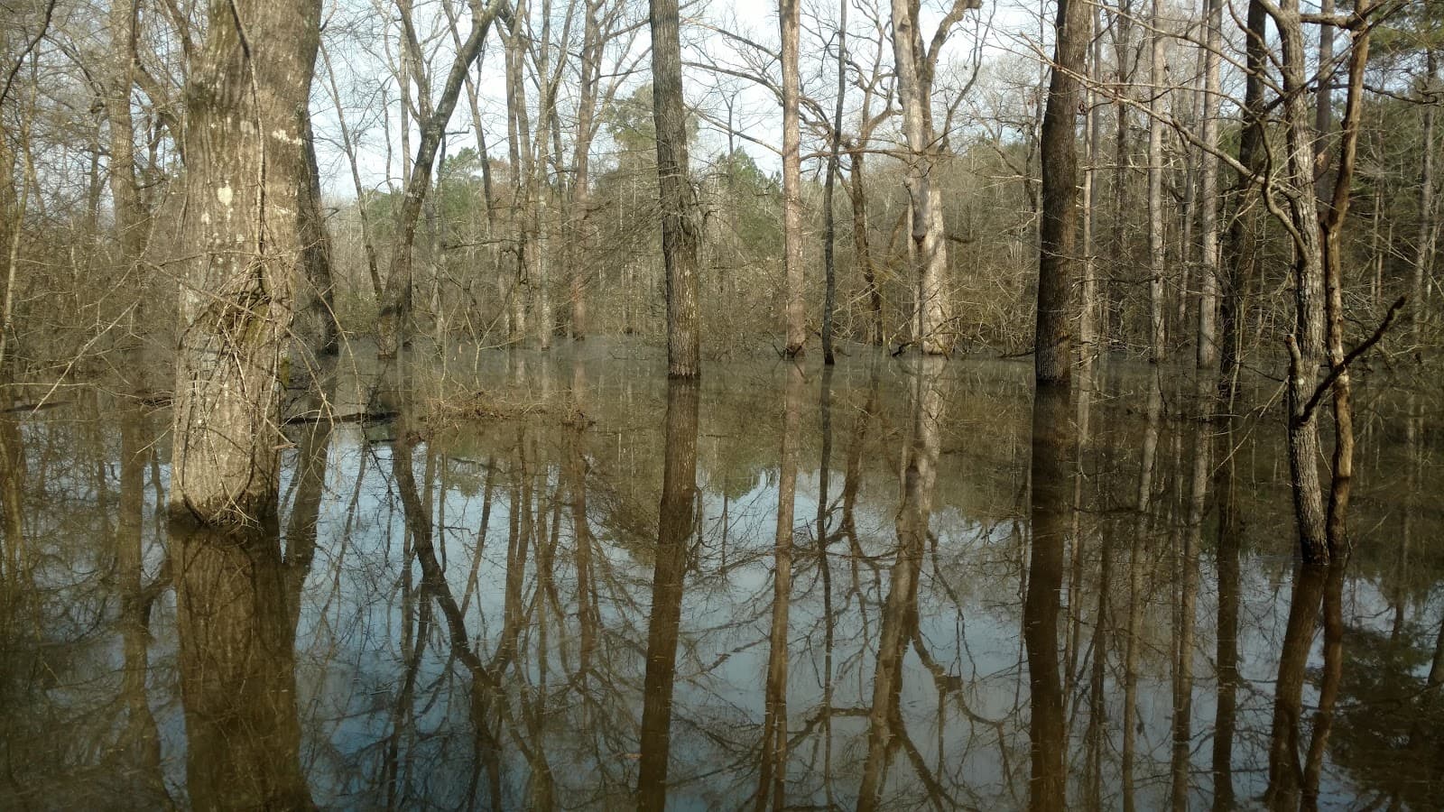 Upper Ouachita National Wildlife Refuge - Image 1